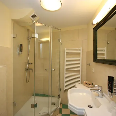 Berghof Gruener Baum 3* 萨巴赫瓦登