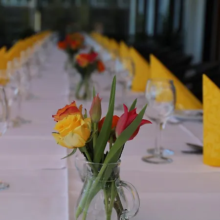 Hotel Berghof Gruener Baum 3*