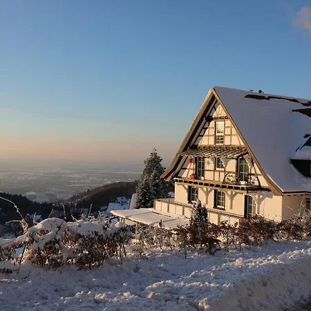 Hotel Berghof Gruener Baum