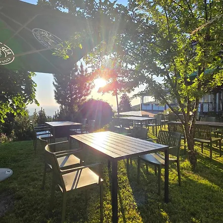 Berghof Gruener Baum Hotel 3*