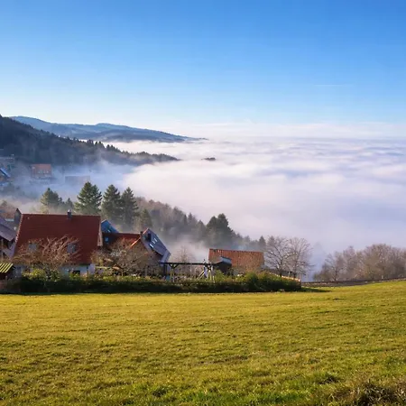 Berghof Gruener Baum 3* Sasbachwalden