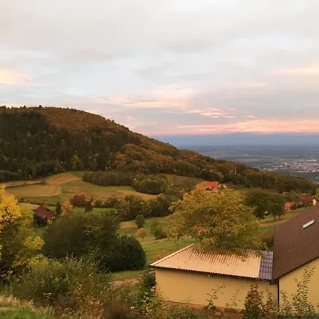 Berghof Gruener Baum 酒店