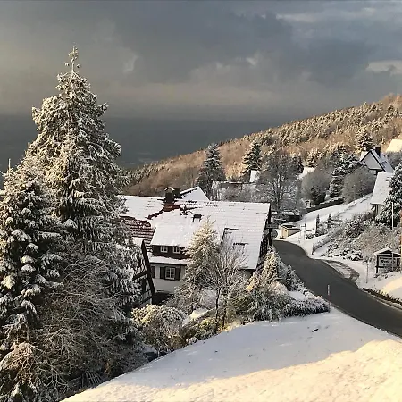 Berghof Gruener Baum 酒店