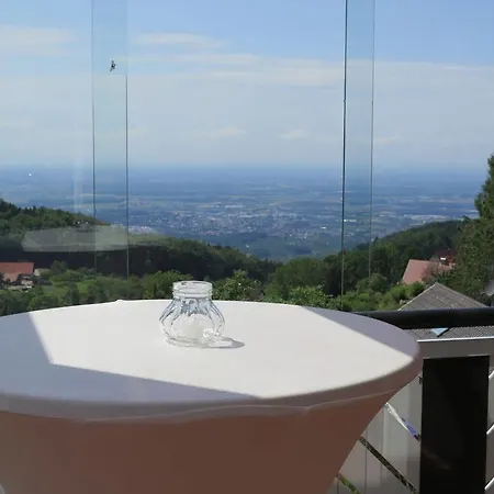酒店 Berghof Gruener Baum 萨巴赫瓦登