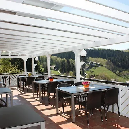 酒店 Berghof Gruener Baum 3*