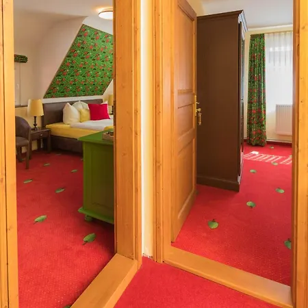 Berghof Gruener Baum Hotel 3*