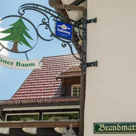 Berghof Gruener Baum 酒店 3*
