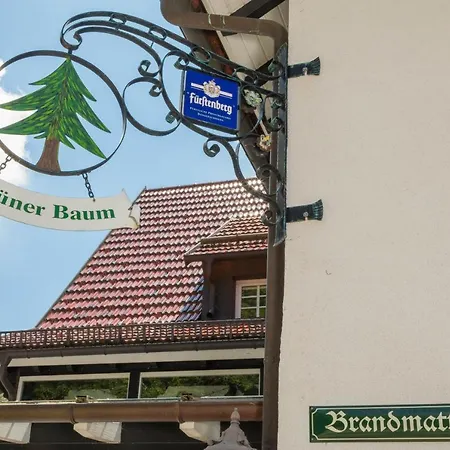 Berghof Gruener Baum Hotel 3*