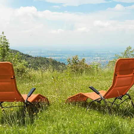 Berghof Gruener Baum Hotel 3*