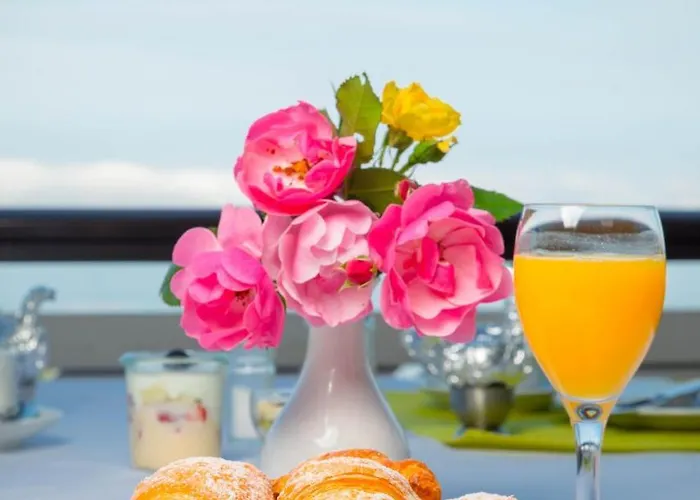 Berghof Gruener Baum Hotel