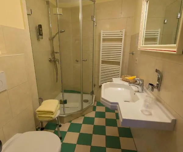 Berghof Gruener Baum 3*